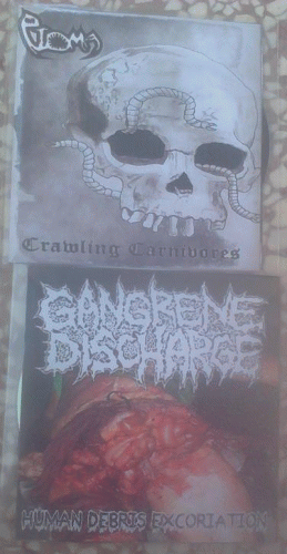 Ptoma (GRC-2) : Crawling Carnivores - Human Debris Excoriation